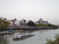 AQUA BUS & SAKURA