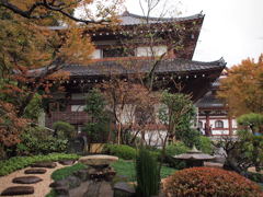 素晴らしや　長谷寺の庭