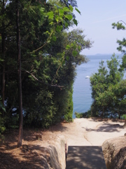 海が見えた
