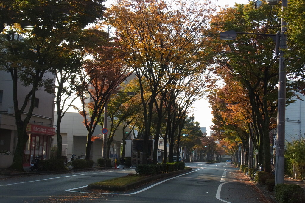 秋の朝