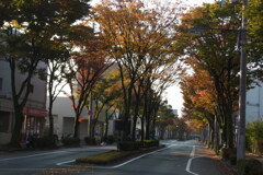 秋の朝