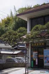 松と郵便局