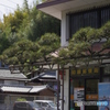 松と郵便局