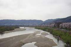 川と桜堤