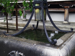 仏光寺の排水受