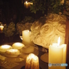White Rose