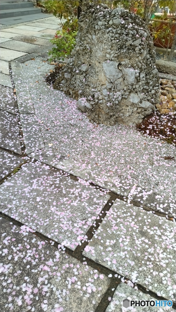 散る