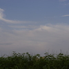 くさむらと流れる雲と空