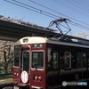 武庫之荘の桜×阪急電車