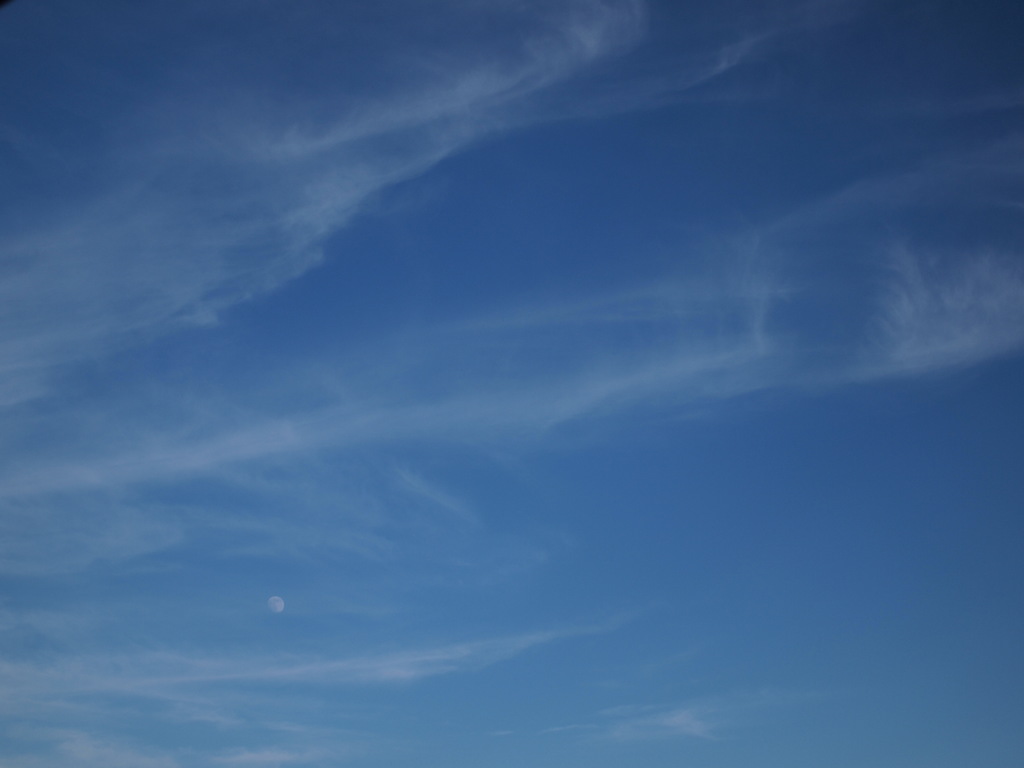 月と青空