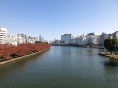 大川の秋