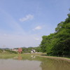 田植え直後の風景（新緑と青空）