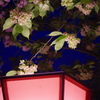 緑桜