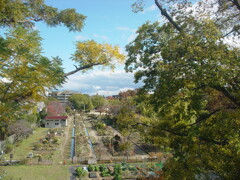 西武庫公園の花壇