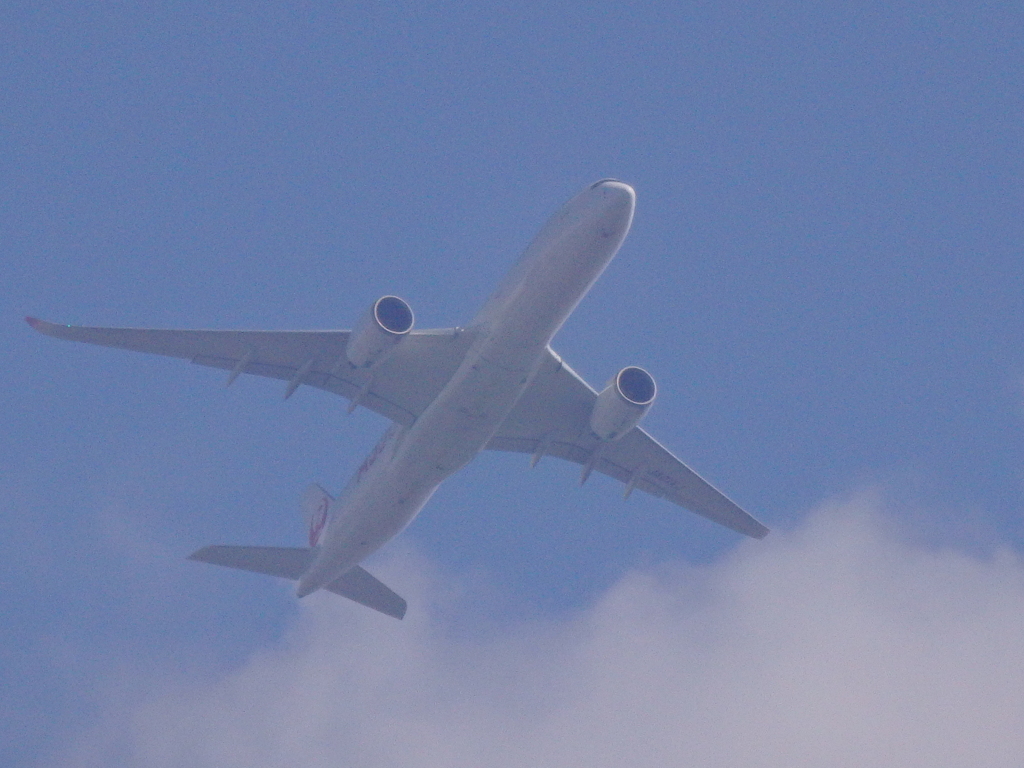 JAL Flight
