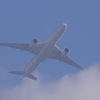 JAL Flight