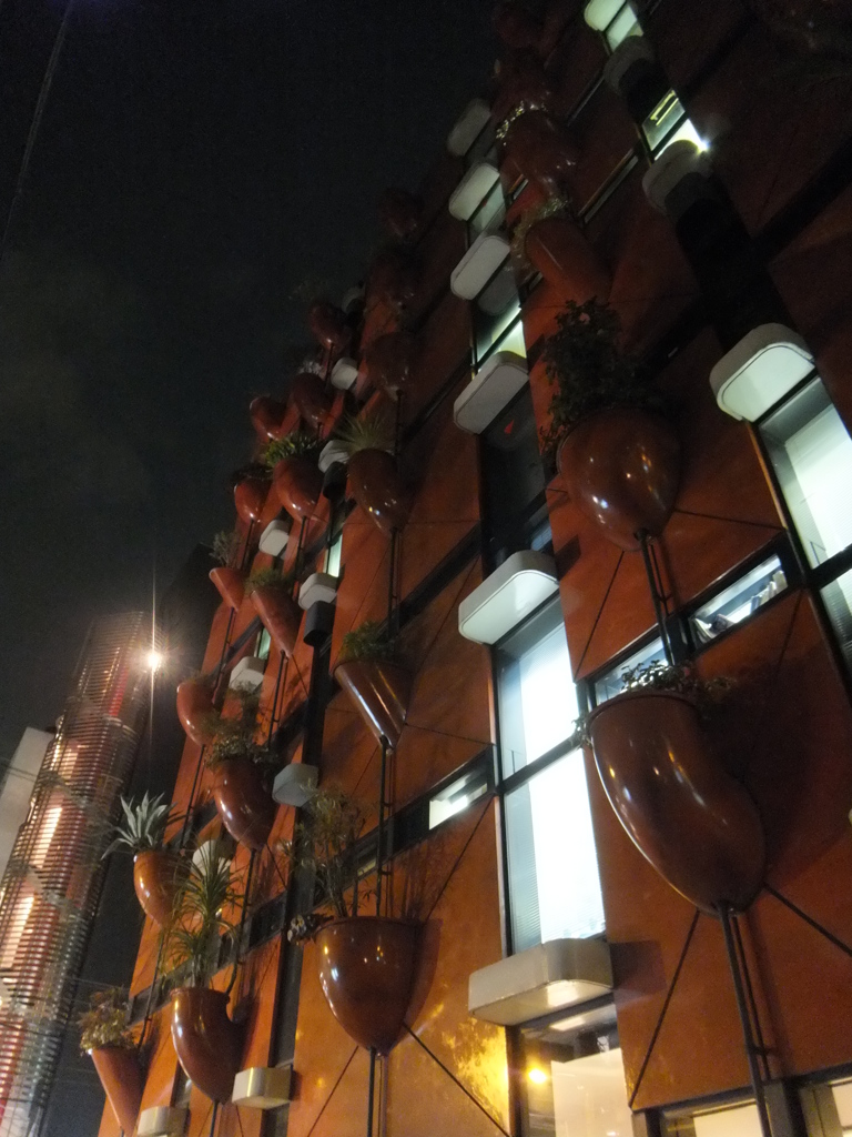 Night Organic Building
