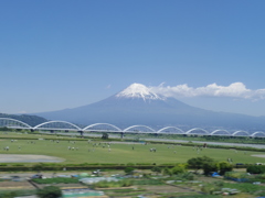 Mt. Fuji & Green Park