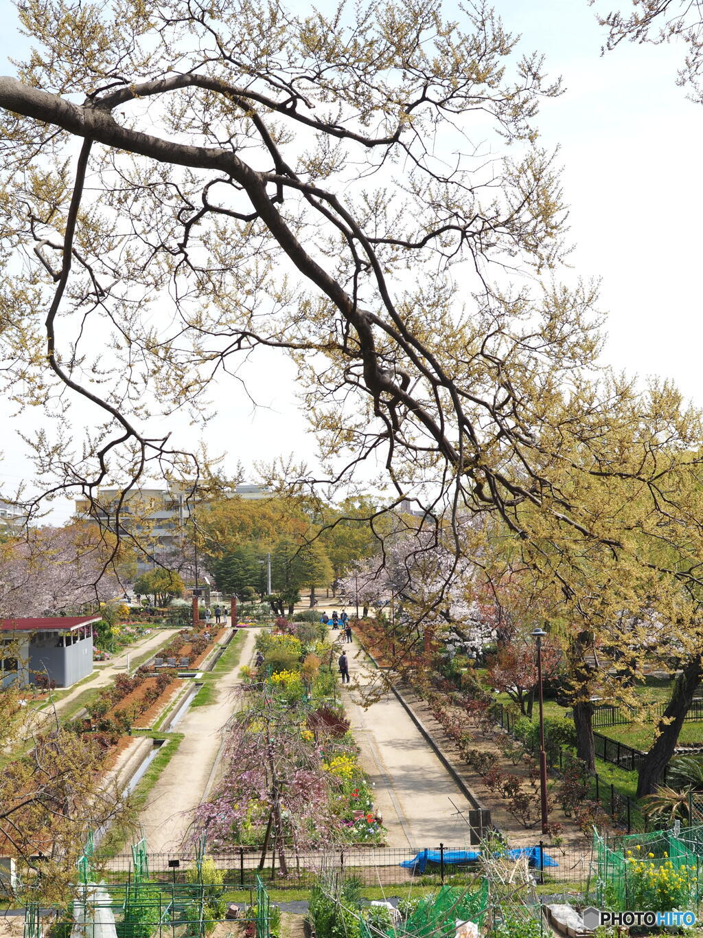 西武庫公園
