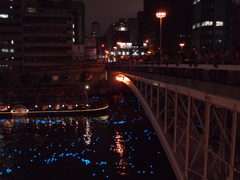 天神橋と水上バス(ひまわり号)