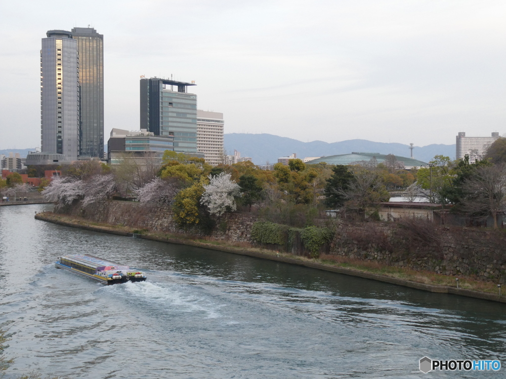 舟の上 桜見上げる 楽しさよ