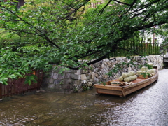 船と小川