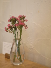 カフェのテーブルの上で