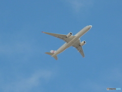 JAL