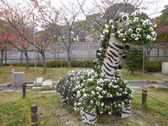 しまうまだよ。