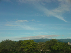 夏空と緑