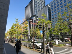 昼休みの御堂筋
