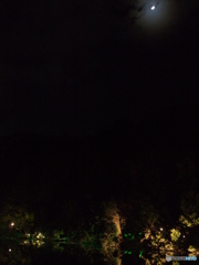 月夜に輝く池