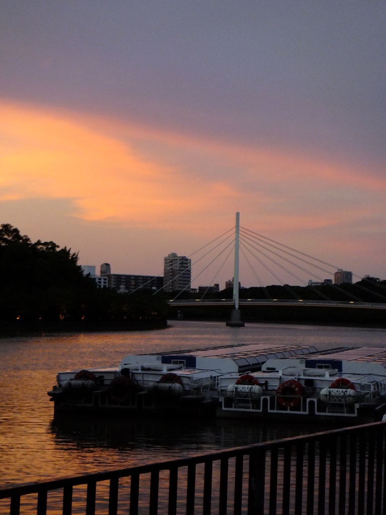 水上バスと大川の夕景