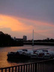 水上バスと大川の夕景