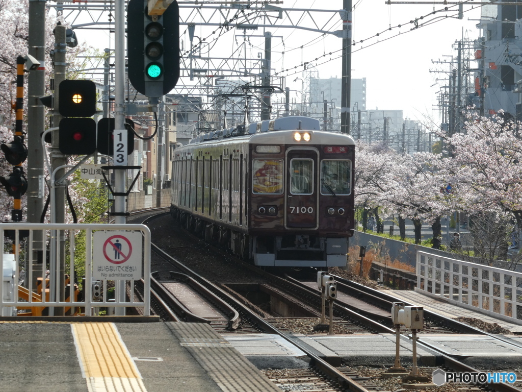 むこのそうの桜と阪急電車
