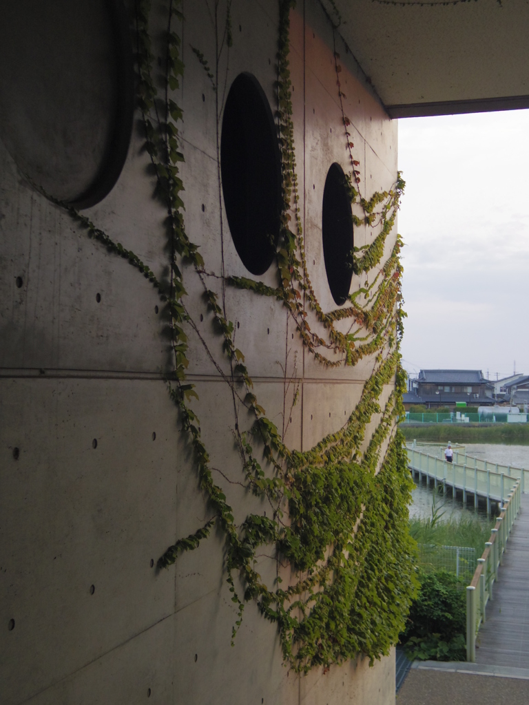 コンクリートと蔦（つた）
