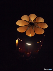 bamboo LED flower