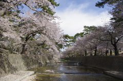 さくら夙川