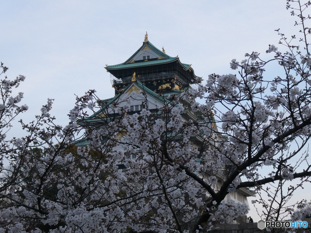 桜色　天守閣を　引き立てし