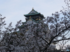 桜色　天守閣を　引き立てし