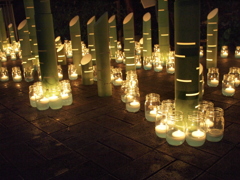 Candle Bamboo