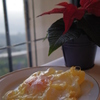 Fried Egg