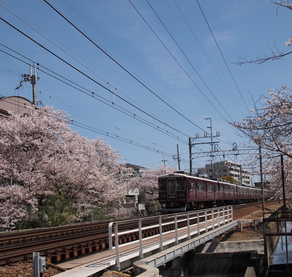 阪急電車と桜と青空