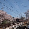 阪急電車と桜と青空