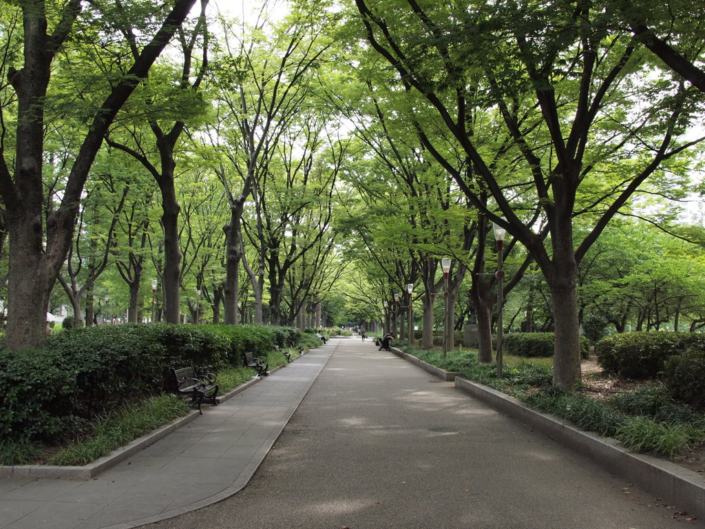 Green Utsubo Park