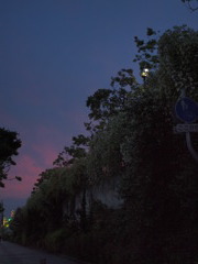 夕焼けと尼崎浄水場