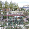 バラ公園