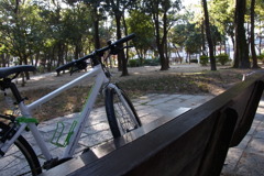 緑と自転車とベンチ