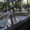 緑と自転車とベンチ