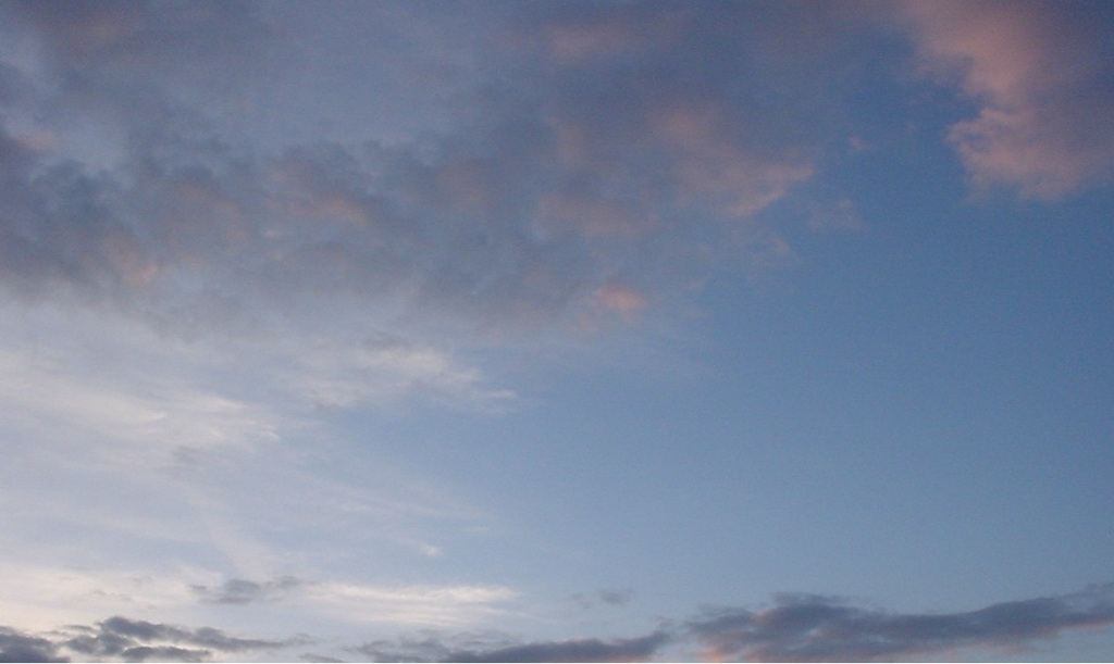 お散歩中の空